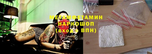 прущие грибы Белокуриха
