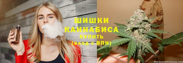индика Беломорск