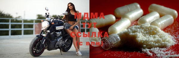 прущие грибы Белокуриха