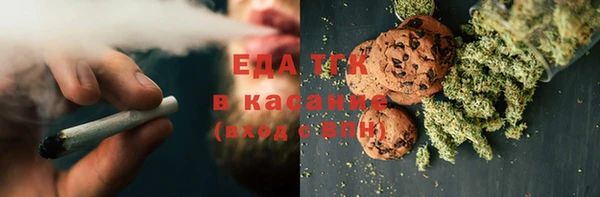 индика Беломорск