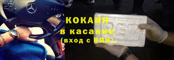 индика Беломорск