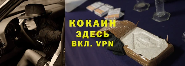 прущие грибы Белокуриха