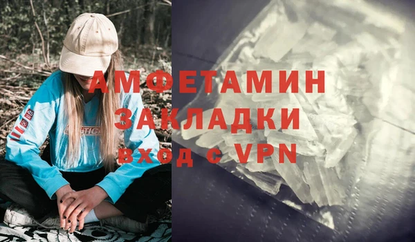 прущие грибы Белокуриха