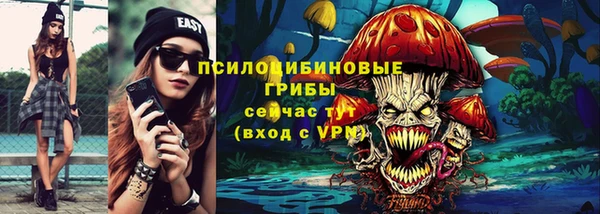 индика Беломорск