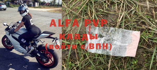 индика Беломорск