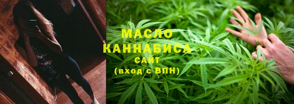 индика Беломорск